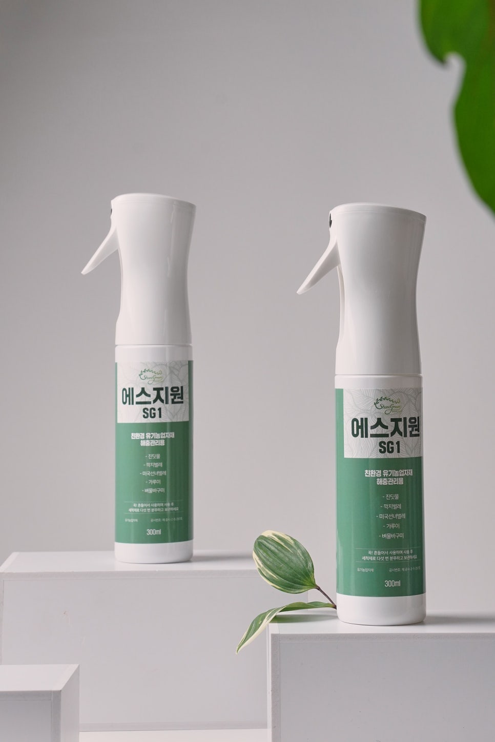 모먼트씬 이미지