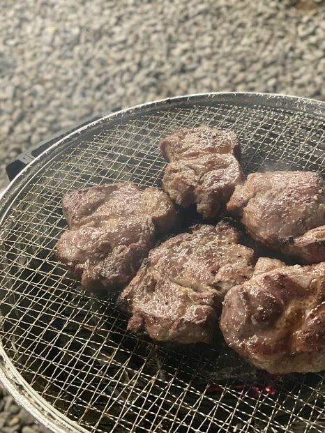 해피해피포레스트 이미지