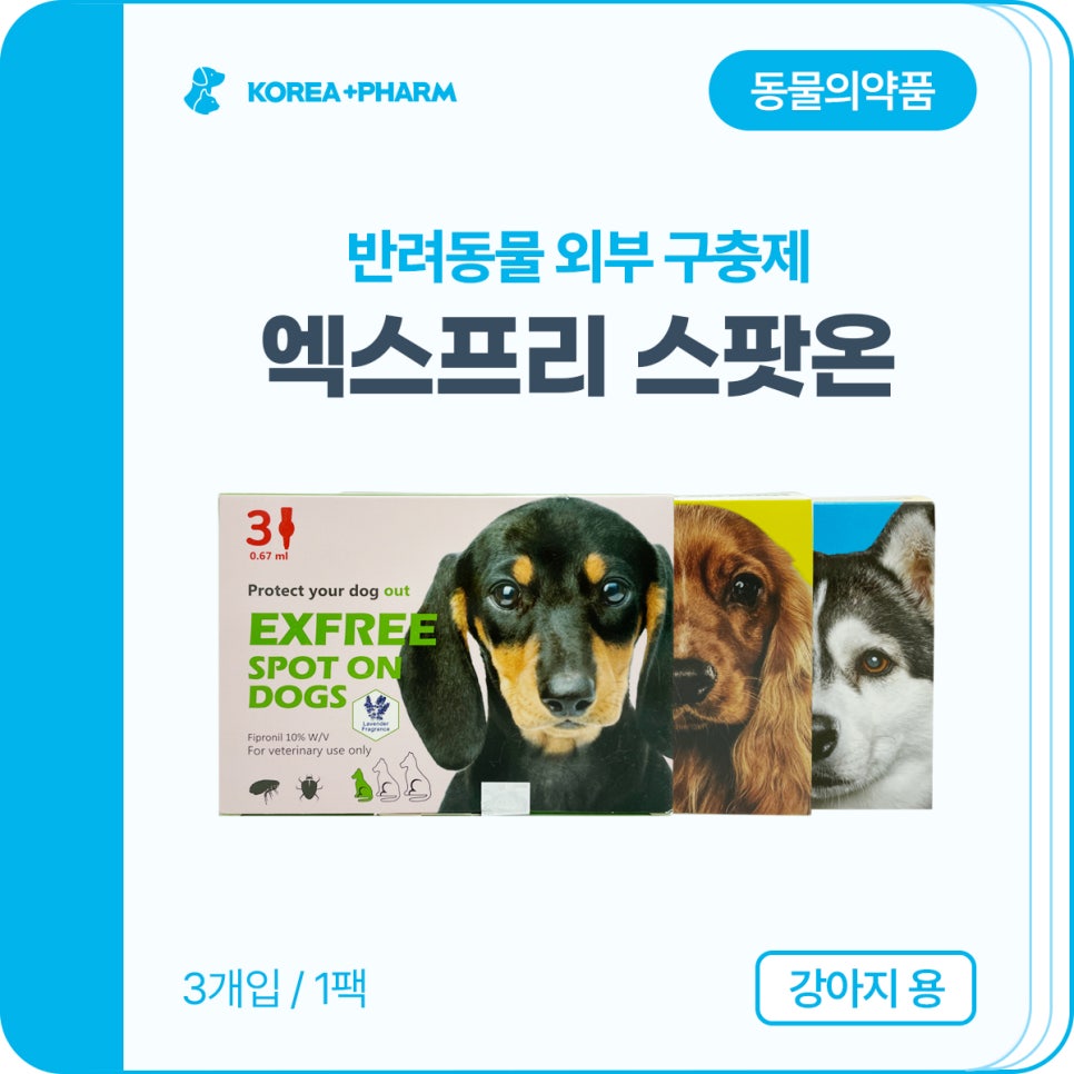 플러스엑스 팜 이미지