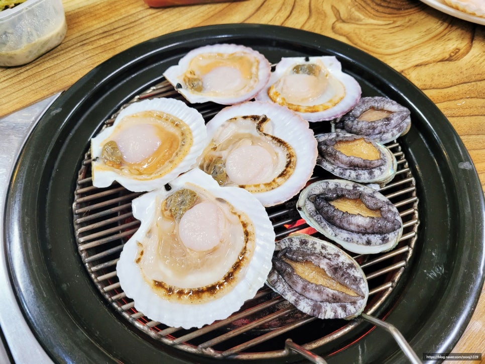 싱싱장어 이미지