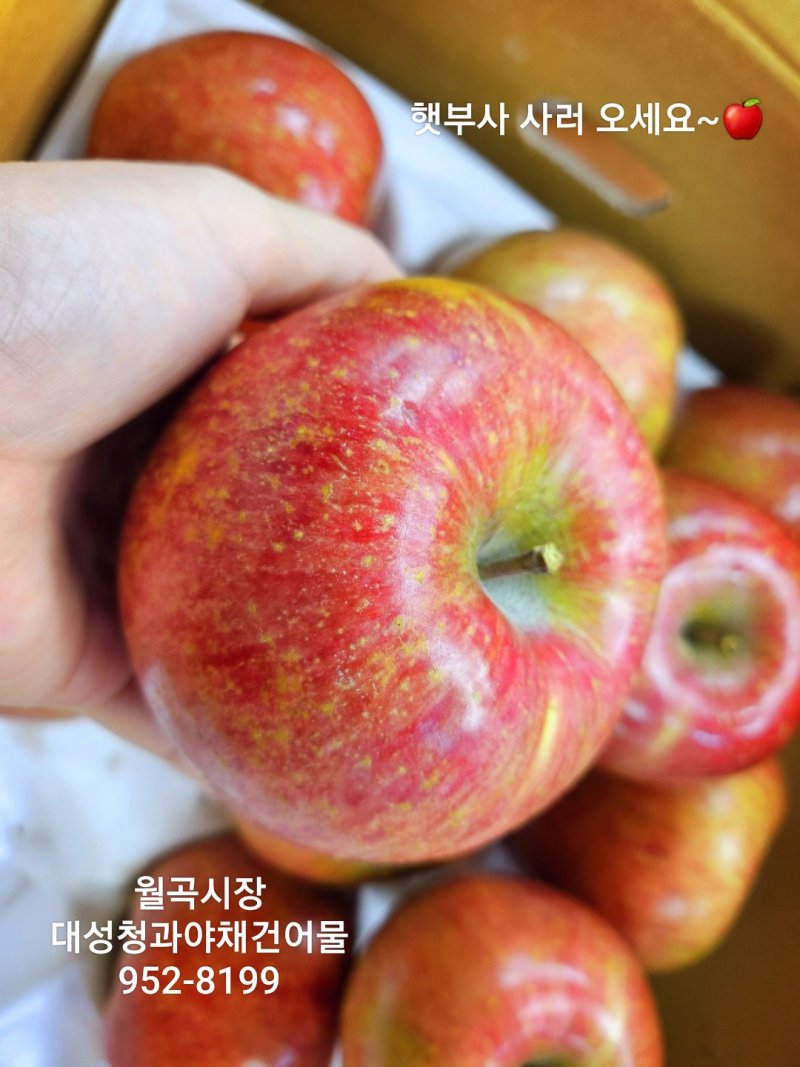 대성야채;과일 이미지