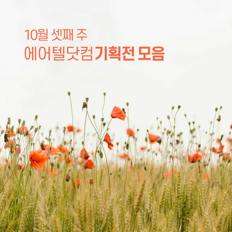 (주)에어텔닷컴 이미지