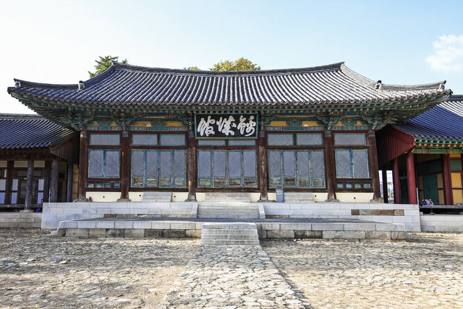 금성관광주 이미지