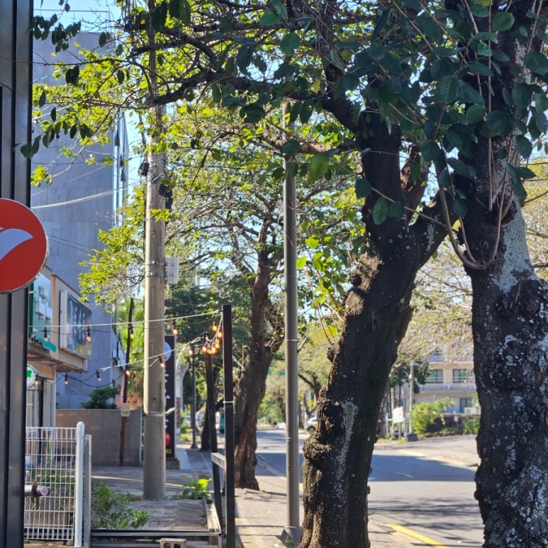 서귀포더벤티 이미지