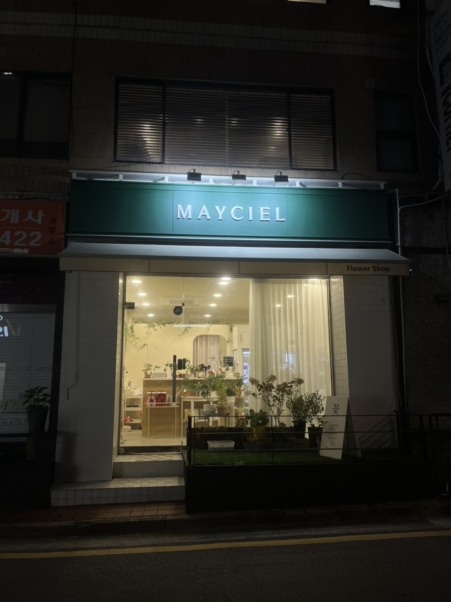 메이씨엘 이미지