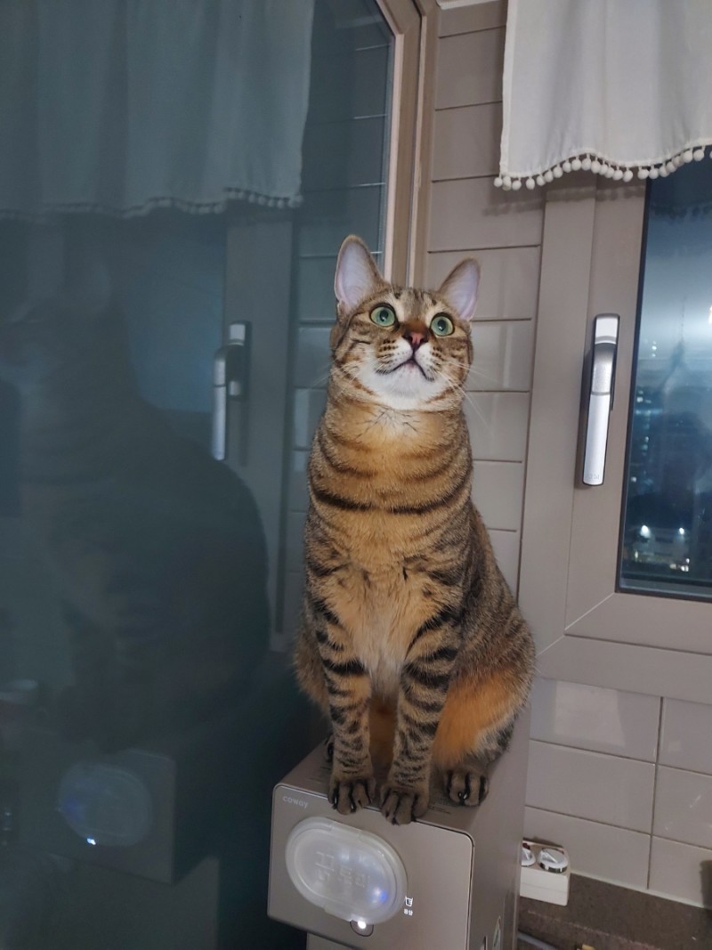 지아헤어 이미지