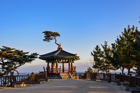(주)화이트투어 이미지