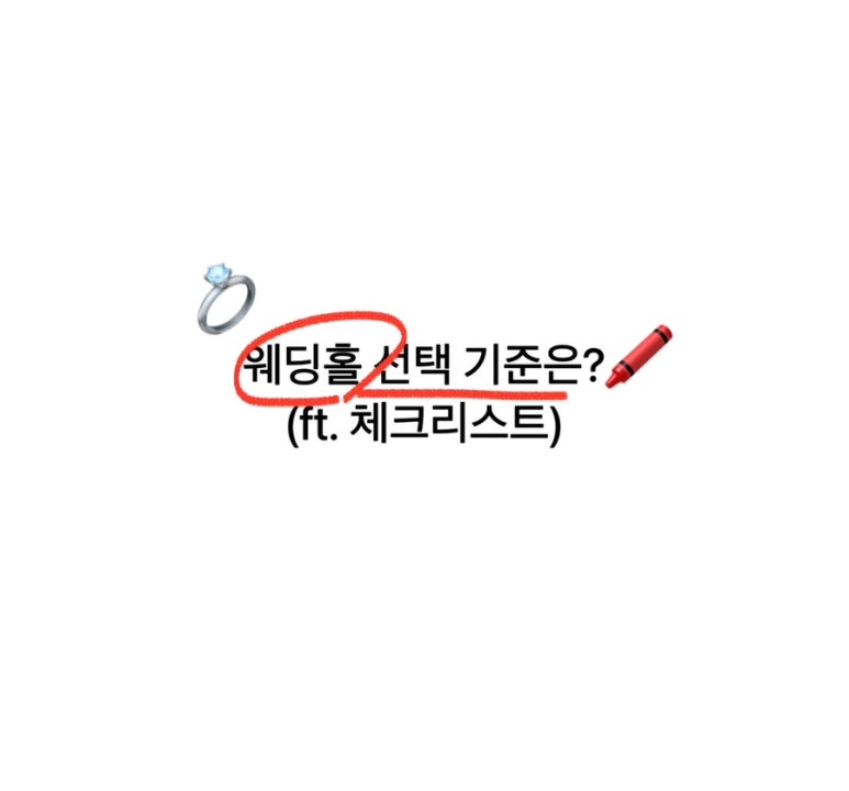 체크투어 이미지