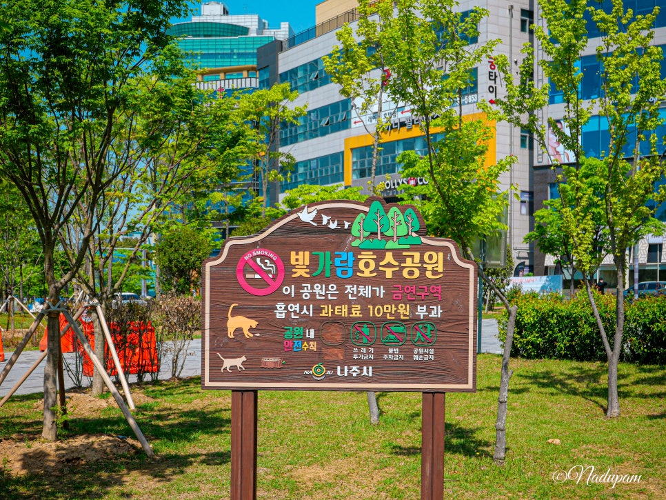 빛가람 유아숲체험원 이미지