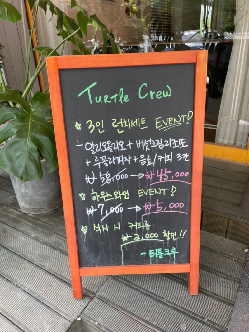 터틀파스타 이미지