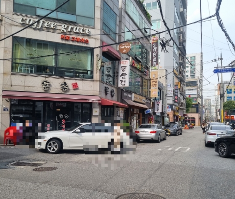 돈추 이미지