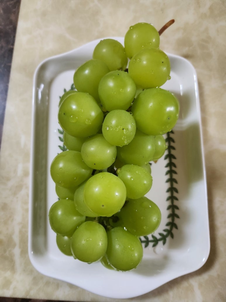 마고농원 이미지