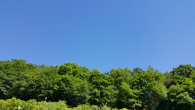 브래뉴 이미지