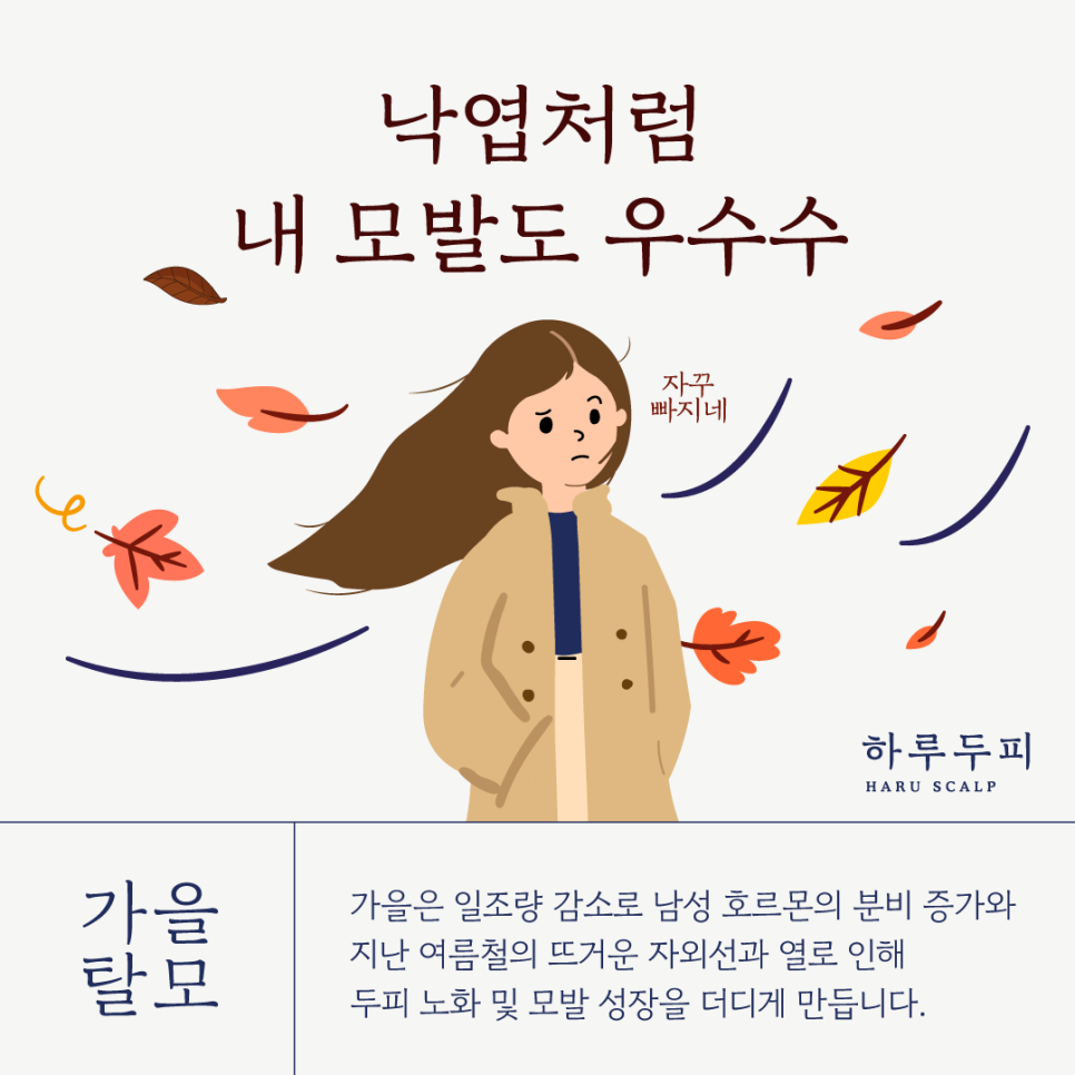 하루두피 동탄1점 이미지