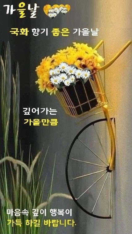수지종합식품 이미지