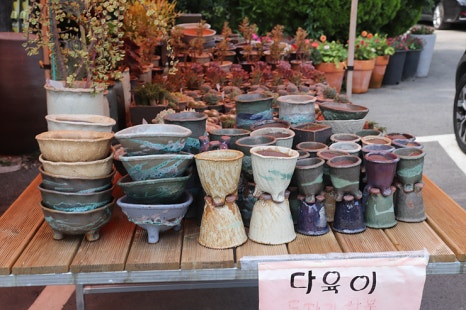 유천오리 이미지