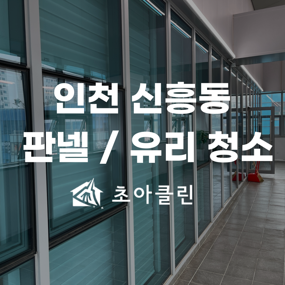 초아클린 이미지