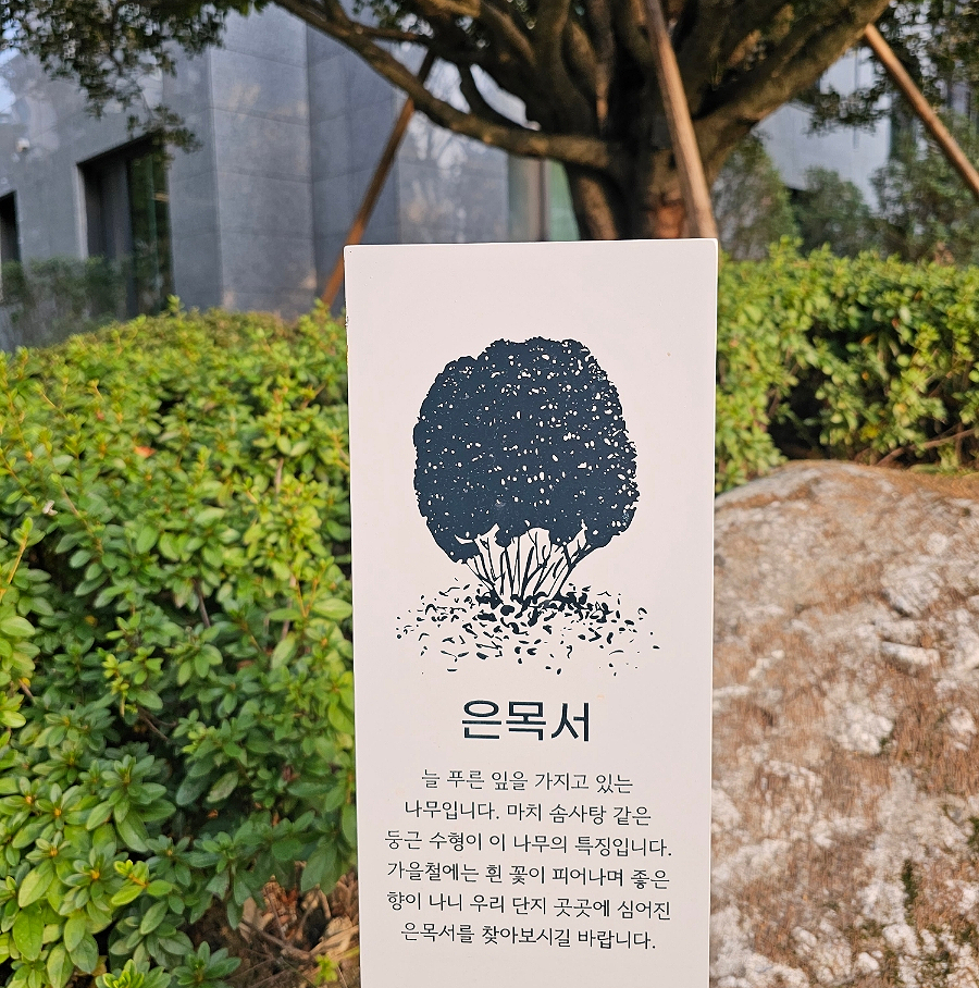 나무향기 이미지