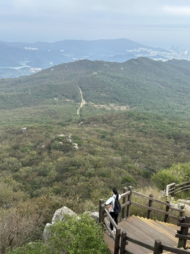 메지탐 이미지