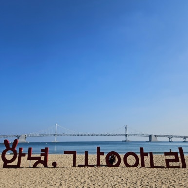 뚜벅이식당 이미지