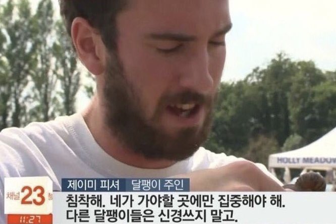 샹차이 이미지