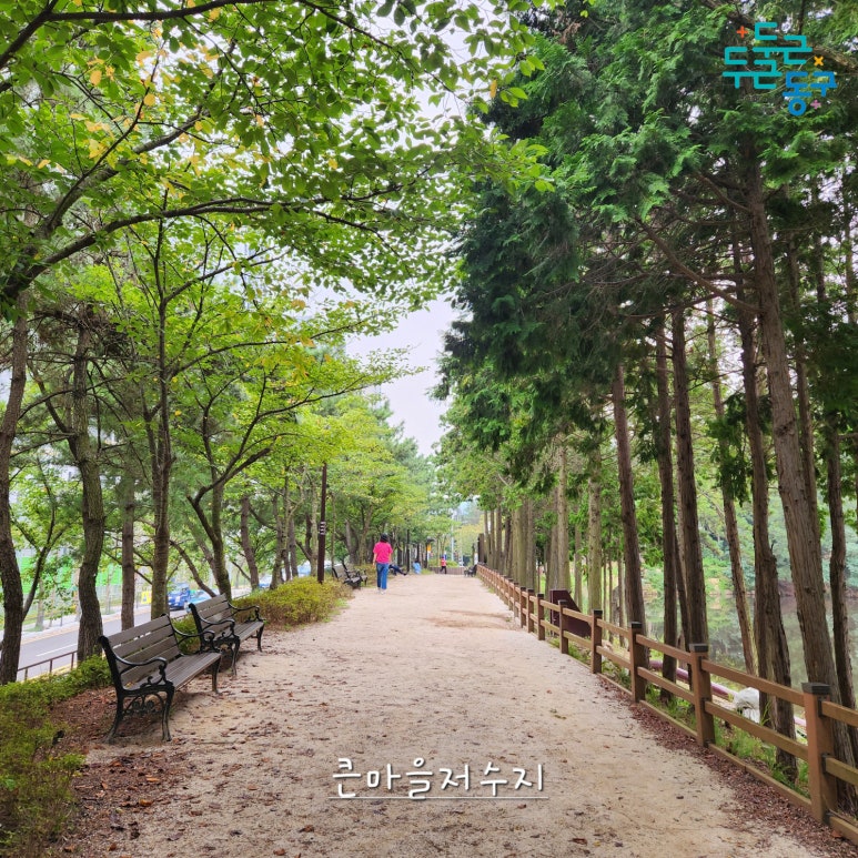 웨일웨이브협동조합 이미지