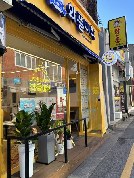 와플대학부산수영캠퍼스 이미지