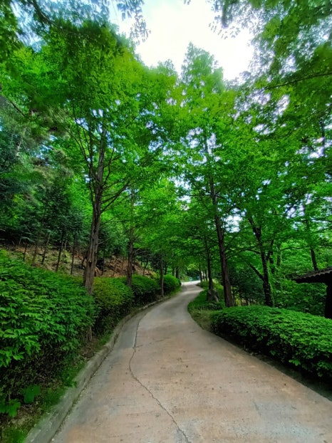 정광레포츠 이미지