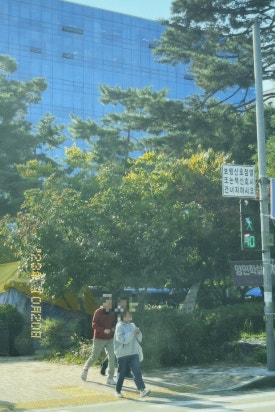 이십일스타일 이미지