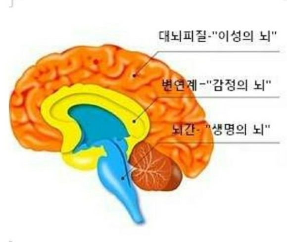 카페칼럼 이미지