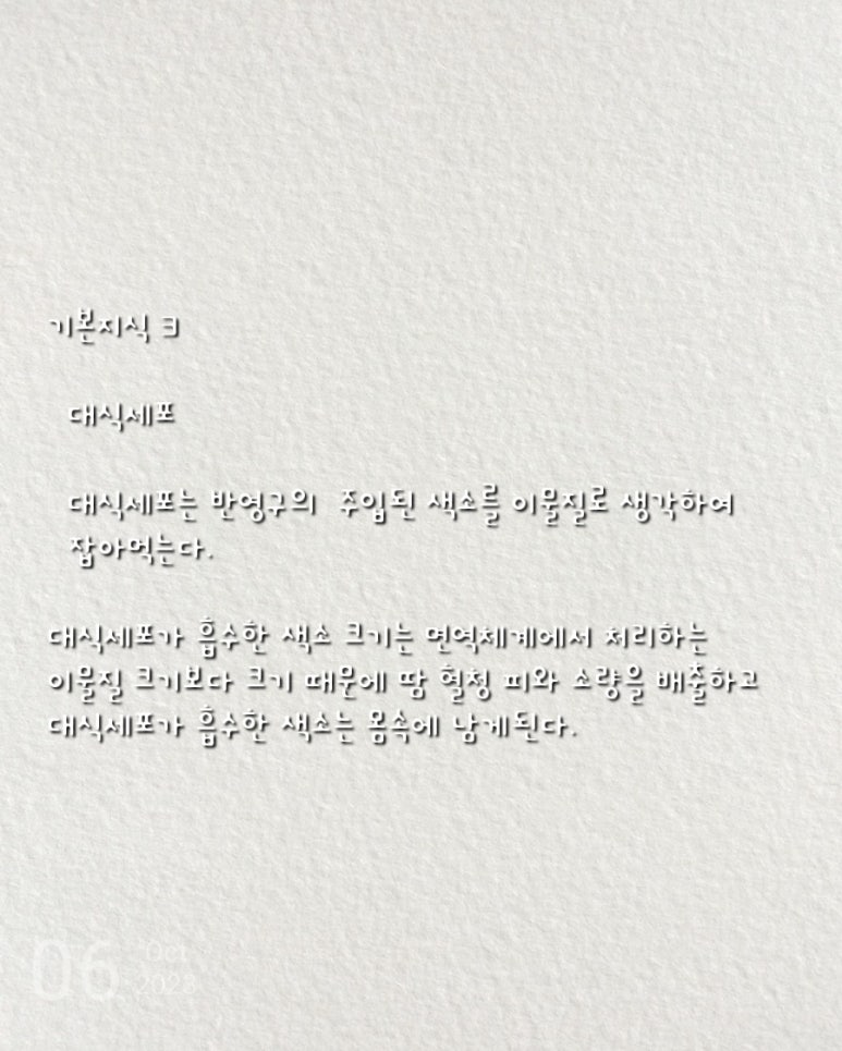 브로우유 이미지