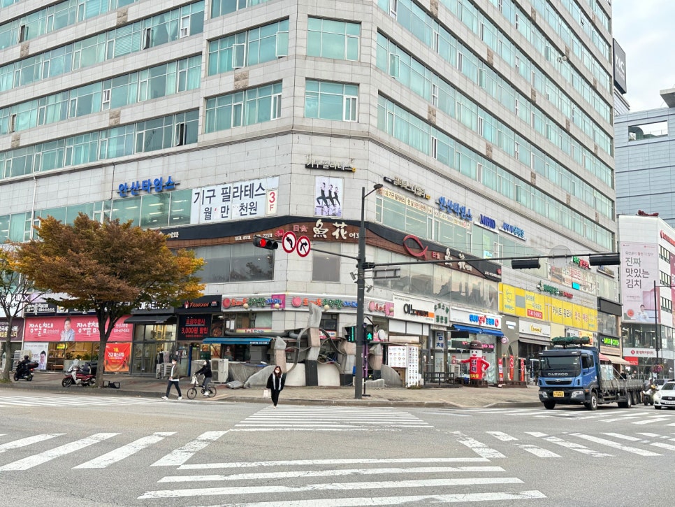 어화 이미지