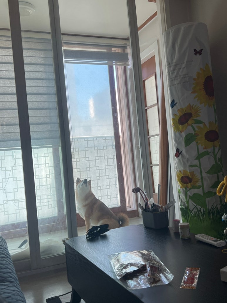 포르타나 국제신도시점 이미지