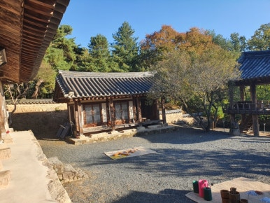 월영채 이미지