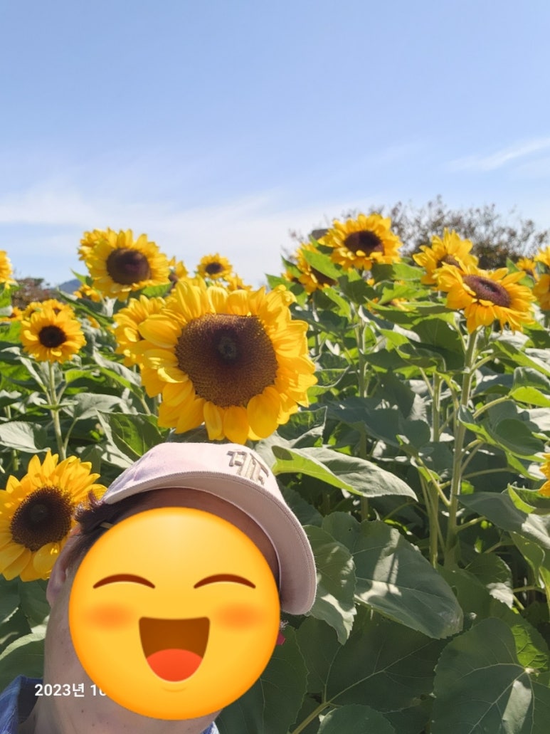 옹기종기인삼튀김 이미지