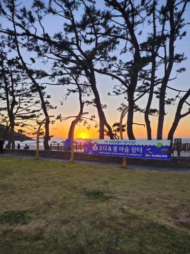 시고르청춘 이미지