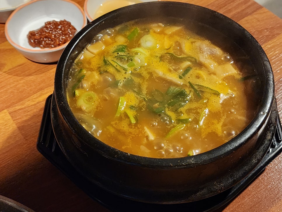 해변의돼지 사진 5