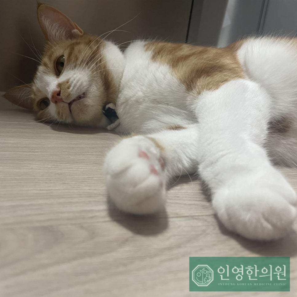 인영한의원 이미지