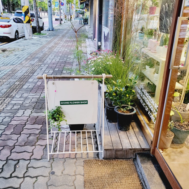 디바인플라워 이미지