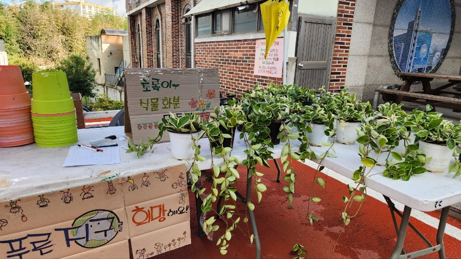 이사빛 이미지