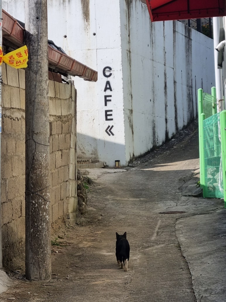 드로와유 이미지