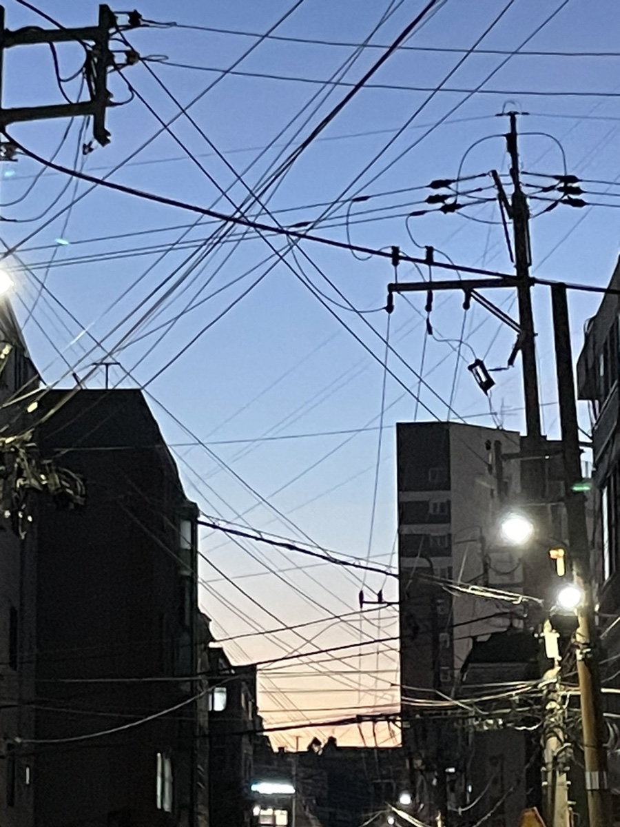 코코번 이미지