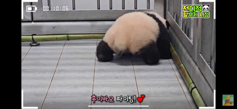 커피판다 이미지