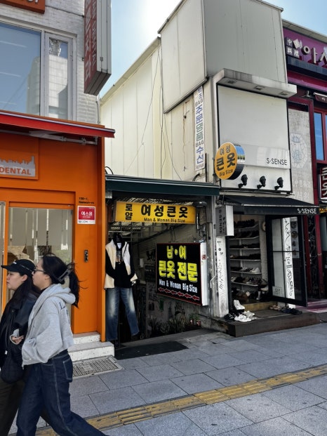 와드(WAD) 이미지