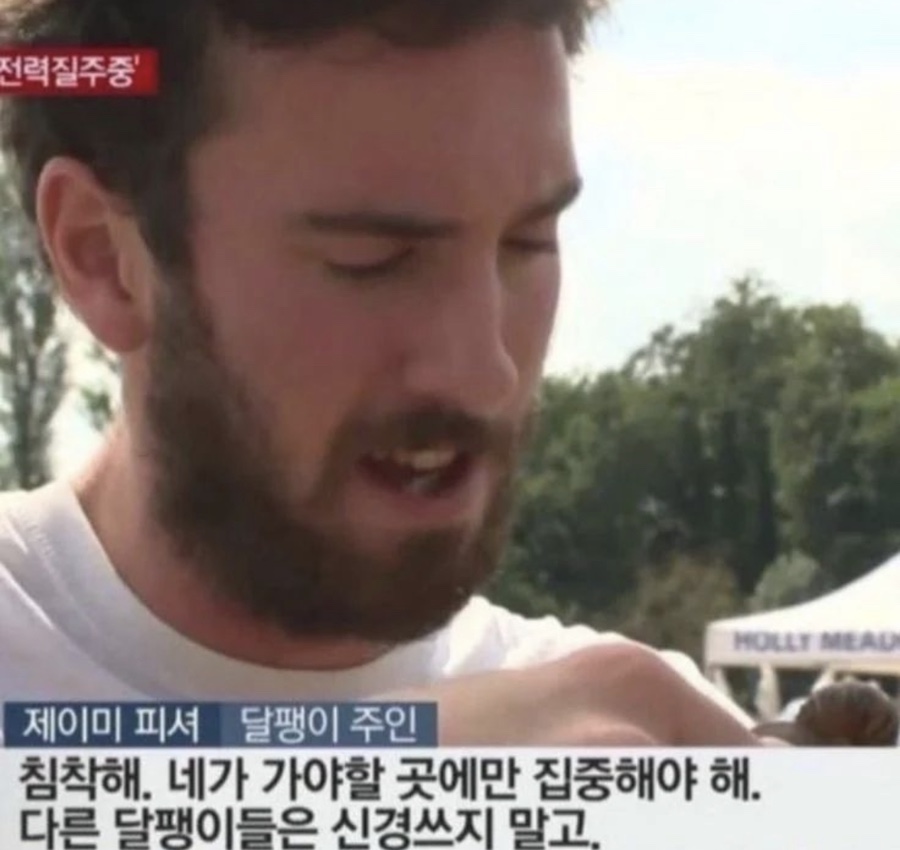 김지홍 이미지