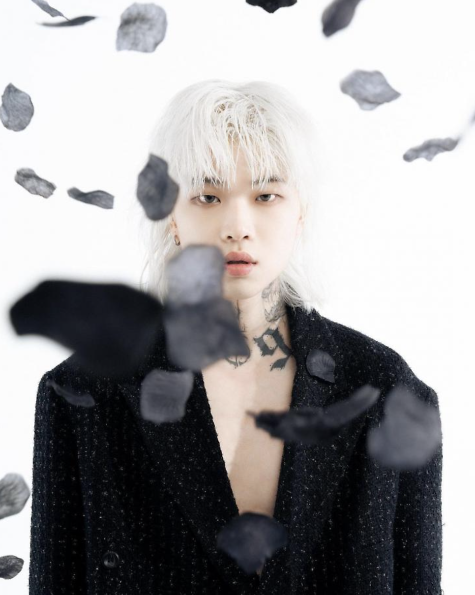 아일랜드헤어 이미지