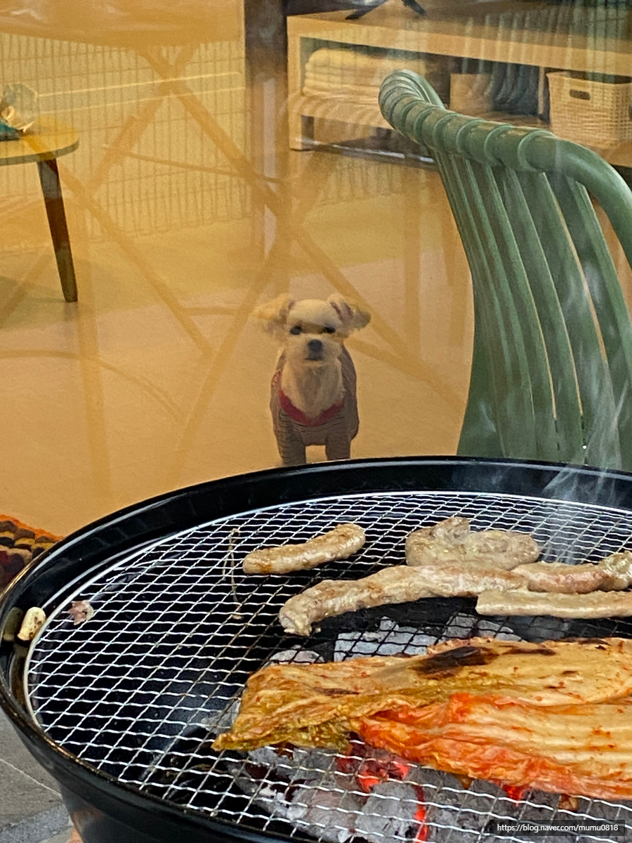 GS25강화사랑점 이미지
