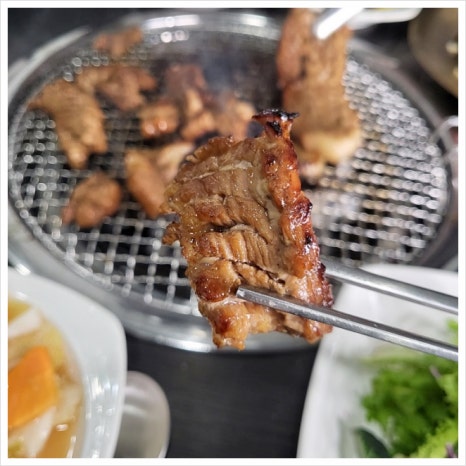 일등돼지 이미지