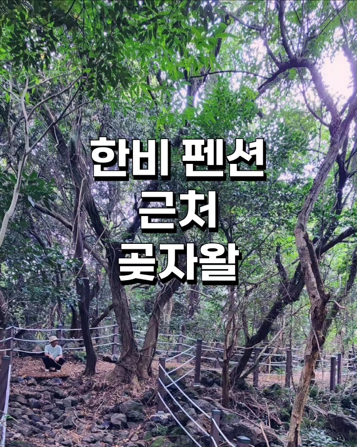 한비숲 이미지