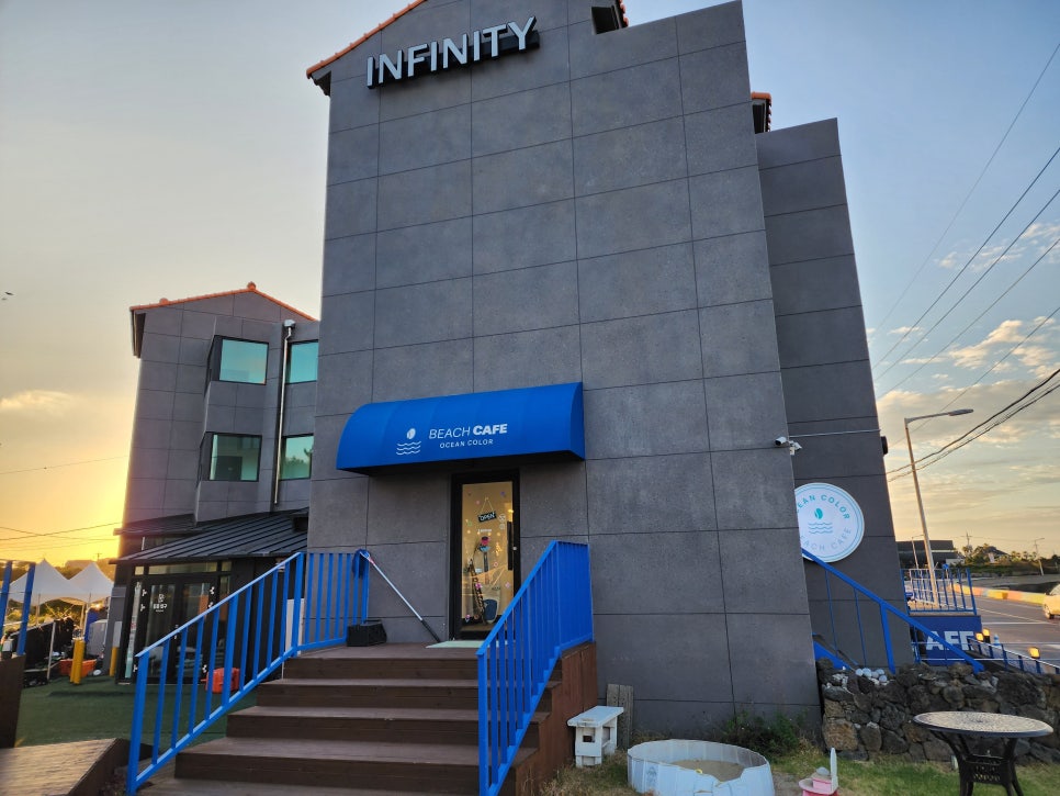해변의돼지 사진 8